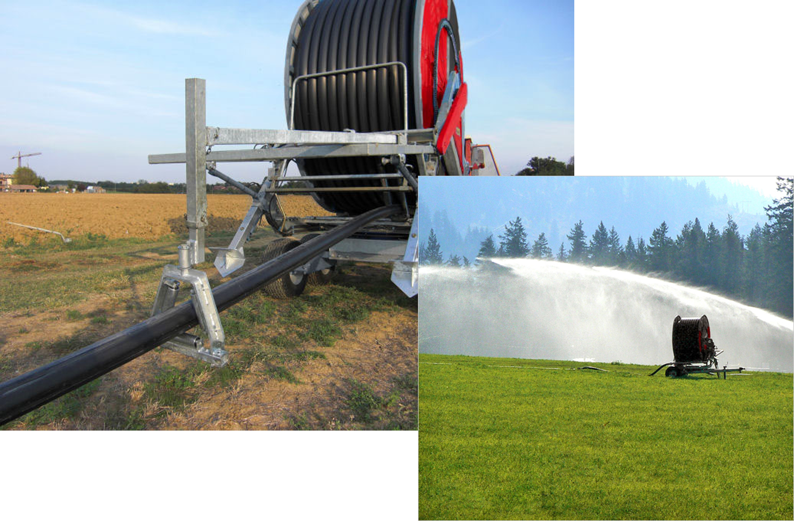 Pastoreo Racional – Irrinor